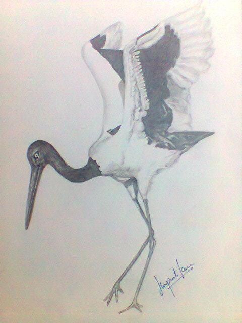 Painting titled "bird3.jpg" by Hkaur, Original Artwork