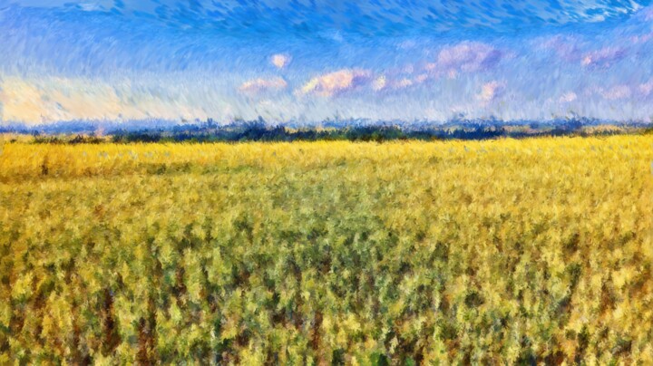 Fotografie mit dem Titel "cornfield" von Holger Niess, Original-Kunstwerk, Digitale Fotografie