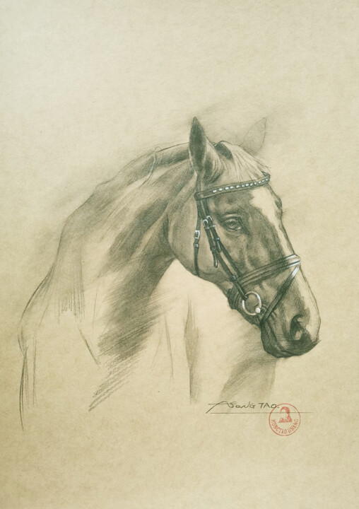 Tekening getiteld "Horse #22730" door Hongtao Huang, Origineel Kunstwerk, Potlood