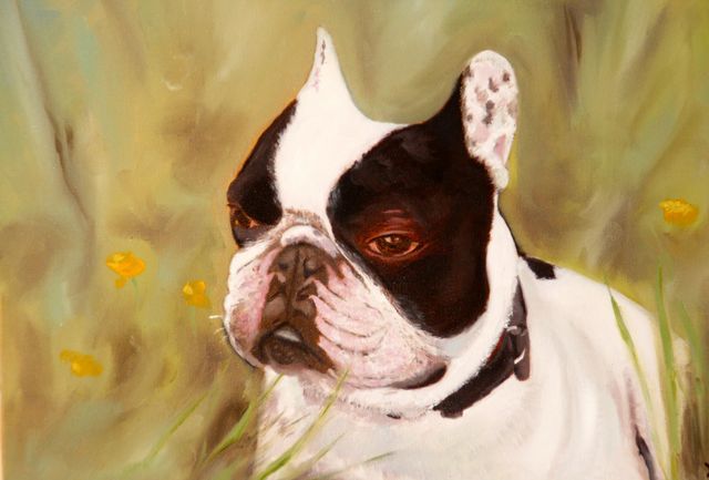 Malerei mit dem Titel "le chien" von Queau, Original-Kunstwerk