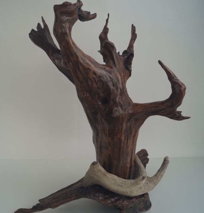 Sculpture intitulée "L'appel de la foret" par Luc Morin, Œuvre d'art originale, Bois