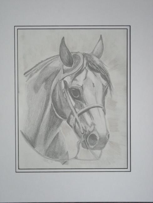 Drawing titled "Reining Horse" by Angela Keenan, Original Artwork