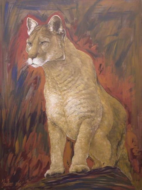 puma fauve puma fauve