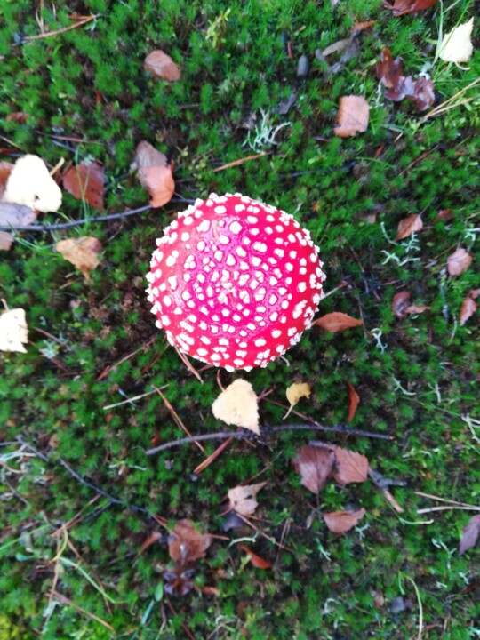 Fotografia zatytułowany „Rouge d'automne” autorstwa Jen Simba Ka J. S. K, Oryginalna praca, Fotografia cyfrowa