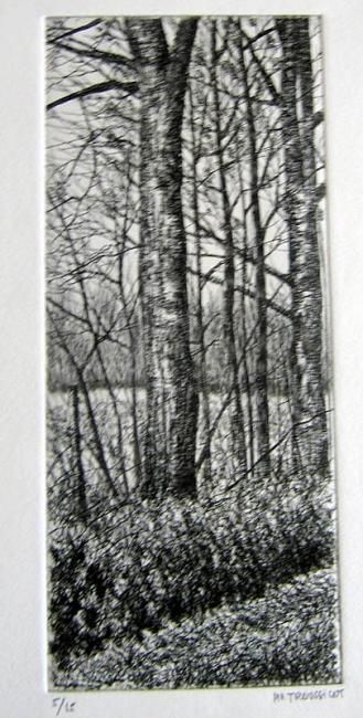 Printmaking titled "arbres et buisson" by Henry-Pierre Troussicot, Original Artwork, Etching