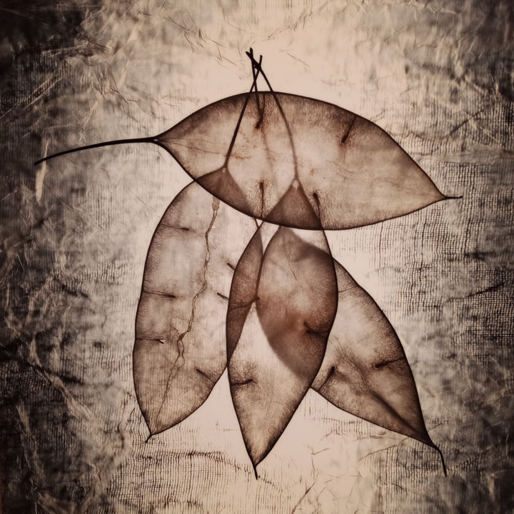 Fotografía titulada "Leaves 3" por Hrnjak Maja, Obra de arte original, Fotografía digital