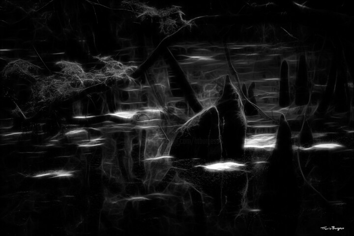 Photographie intitulée "Faerie Swamp in Mon…" par Travis Burgess, Œuvre d'art originale, Photographie manipulée