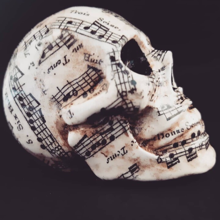 Sculptuur getiteld "Musical skull" door Huakana, Origineel Kunstwerk