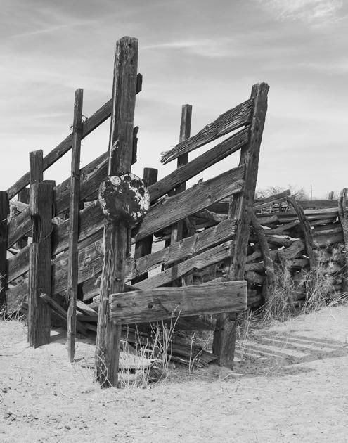 Fotografia intitolato "Cattle chute Arizona" da Hugh Smith, Opera d'arte originale