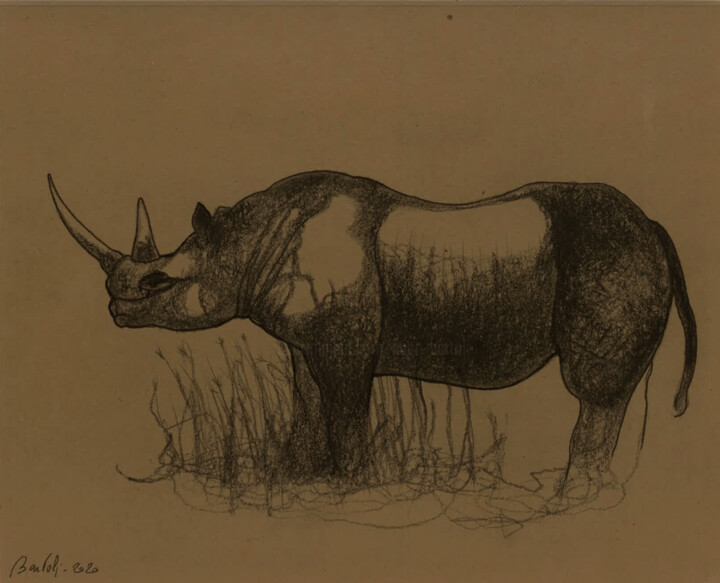 Drawing titled "Rhinocéros" by Hugo Bartoli, Original Artwork, Charcoal