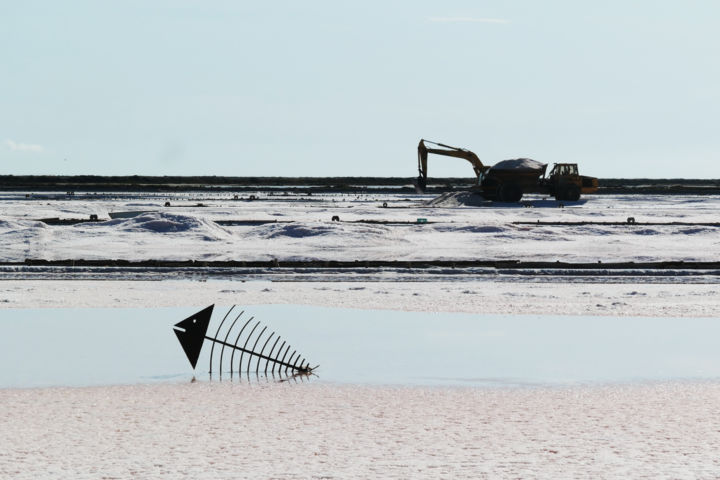 Photographie intitulée "Prédation" par Hugues Elbe, Œuvre d'art originale, Photographie non manipulée