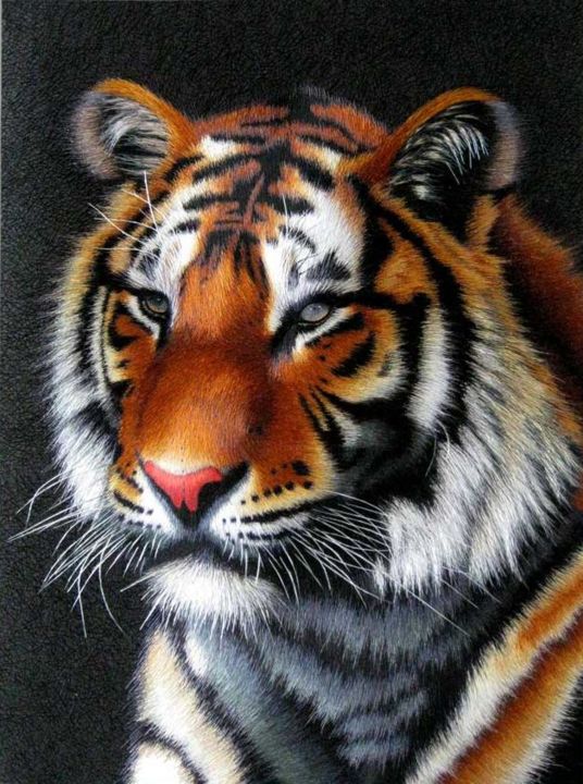 Artcraft titled "tiger.jpg" by Huifen Yao, Original Artwork
