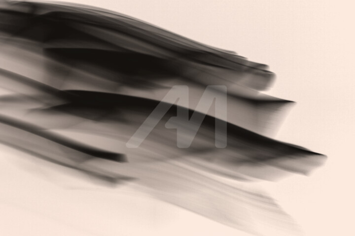 Fotografie mit dem Titel "DANCING FLOWER I" von Iryna Shpulak, Original-Kunstwerk, Digitale Fotografie