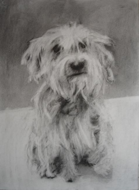 Painting titled "Mango" by Iain Bailey, Original Art,