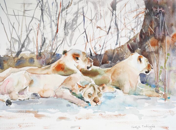 Painting titled "Lions in the South…" by Ibolya Taligas, Original Artwork, Watercolor