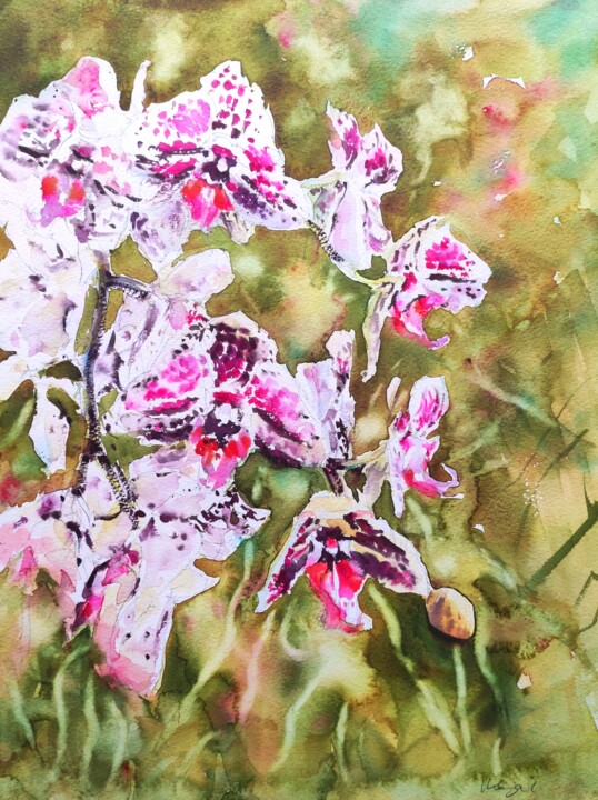 Painting titled "Orchids Cascade" by Ibolya Taligas, Original Artwork, Watercolor