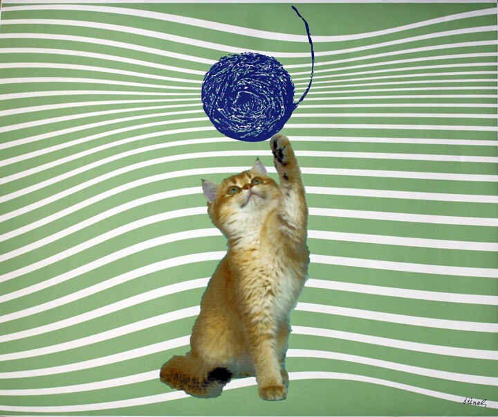 Digitale Kunst getiteld "Cat V" door Ibrahim Unal, Origineel Kunstwerk, Digitaal Schilderwerk