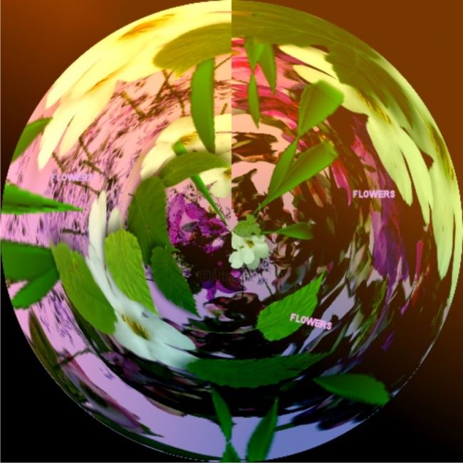 Arts numériques intitulée "Flower Warp" par Icecream, Œuvre d'art originale
