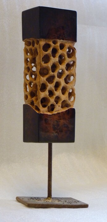 Sculpture titled "laterculus rubigo" by Idris Fad, Original Artwork, Wood