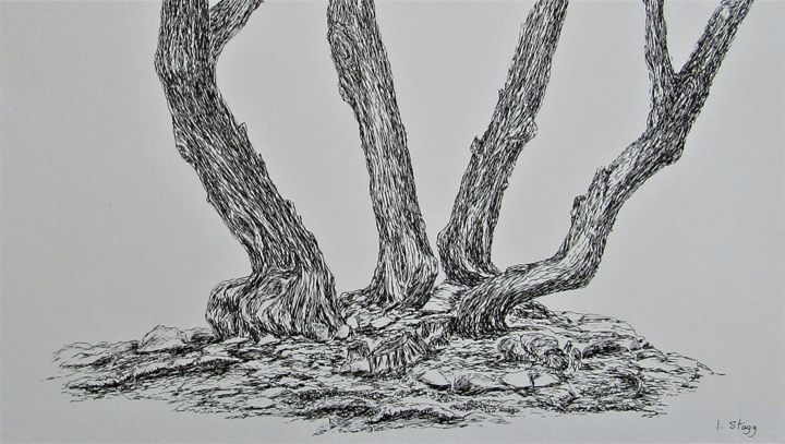 Drawing titled "Sous-bois 2" by Isabelle Stagg, Original Artwork, Ink