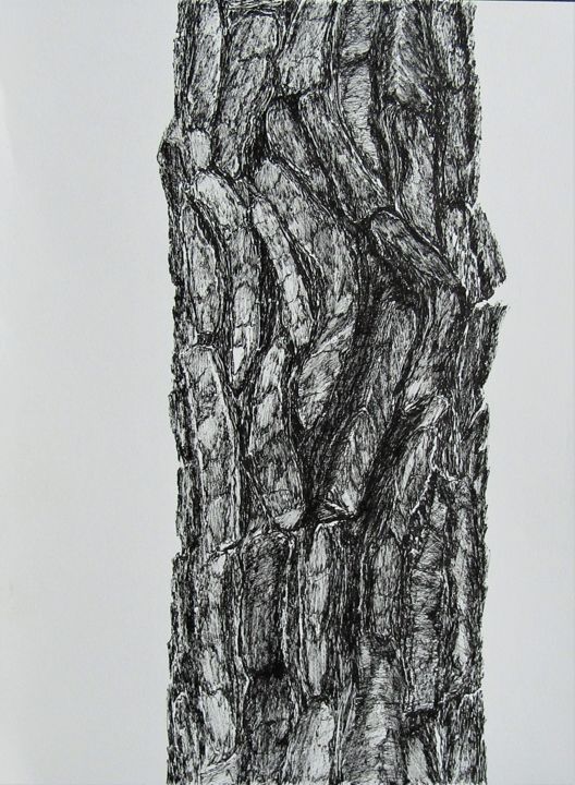Drawing titled "ecorce-de-pin.jpg" by Isabelle Stagg, Original Artwork, Ink