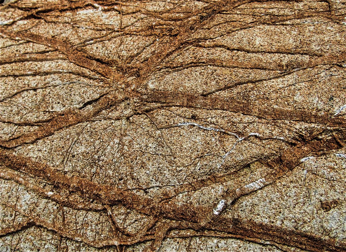 Stone 2 Photography By Isabelle Stagg Artmajeur