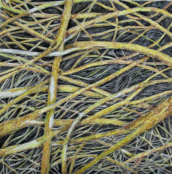 Dessin intitulée "Lichens II" par Isabelle Stagg, Œuvre d'art originale, Crayon