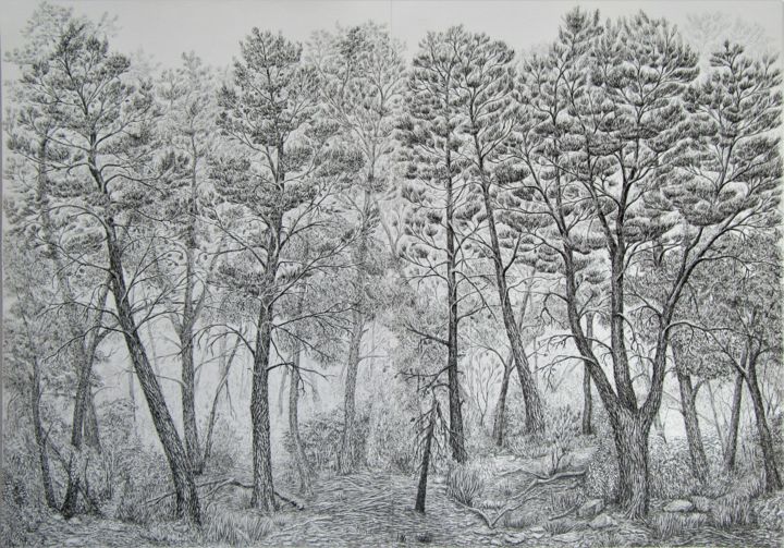 Drawing titled "Woodland I" by Isabelle Stagg, Original Artwork, Ink