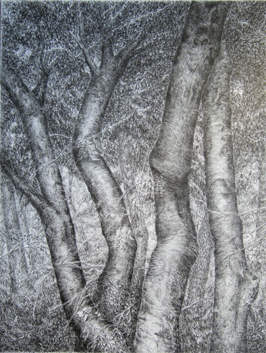 Drawing titled "Woodland II" by Isabelle Stagg, Original Artwork, Ink