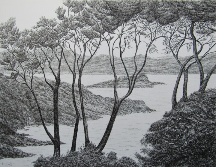 Drawing titled "Mediterranean seash…" by Isabelle Stagg, Original Artwork, Ink