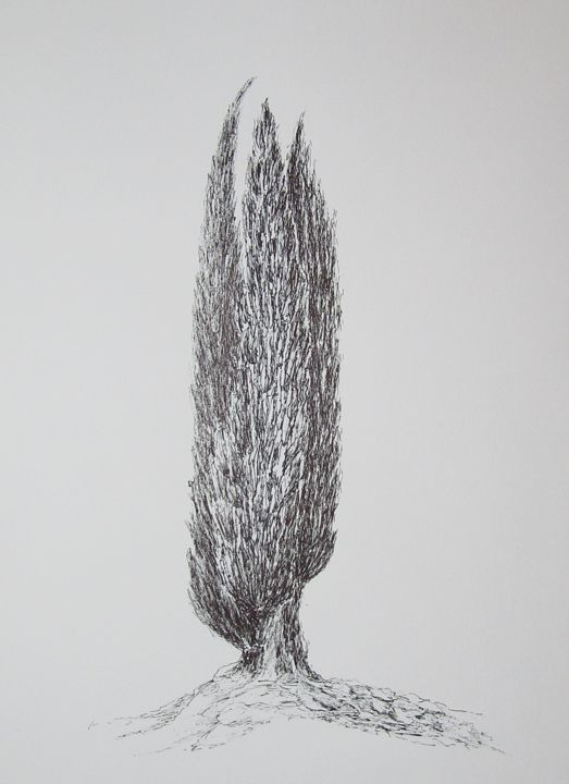 Zeichnungen mit dem Titel "Old Cypress" von Isabelle Stagg, Original-Kunstwerk, Tinte Auf Glas montiert