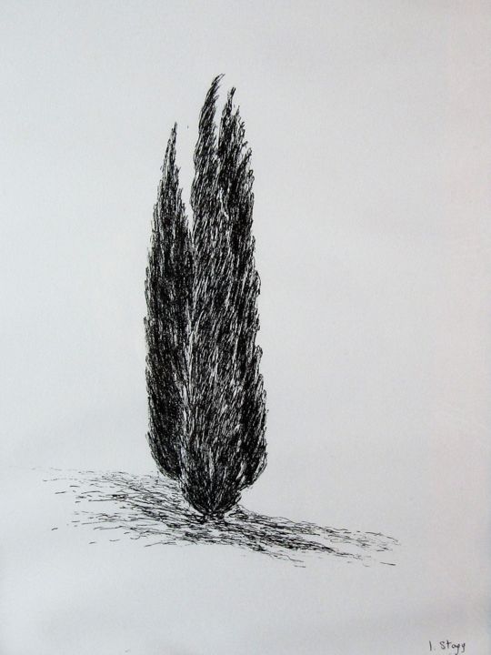 Zeichnungen mit dem Titel "Cypresses" von Isabelle Stagg, Original-Kunstwerk, Tinte