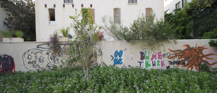 Фотография под названием "Fence" - Igal Stulbach, Подлинное произведение искусства, Цифровая фотография