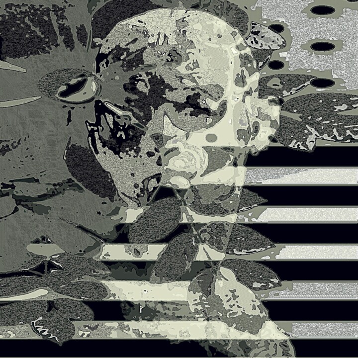 Incisioni, stampe intitolato "Vector Mix Portrait…" da Igor Bajenov, Opera d'arte originale, Pittura digitale