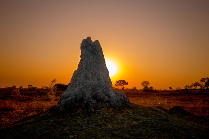 Photographie intitulée "Termite mound" par Igor Borišek, Œuvre d'art originale, Photographie numérique