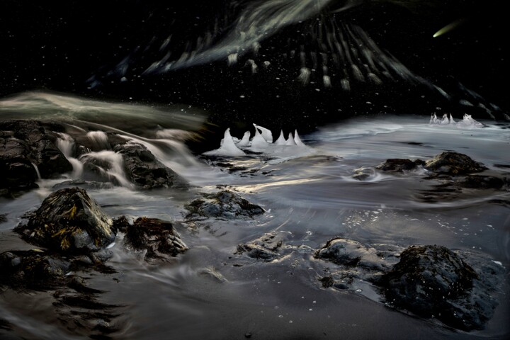 Arte digital titulada "Midnight Kingdom" por Igor Borišek, Obra de arte original, Foto-montaje