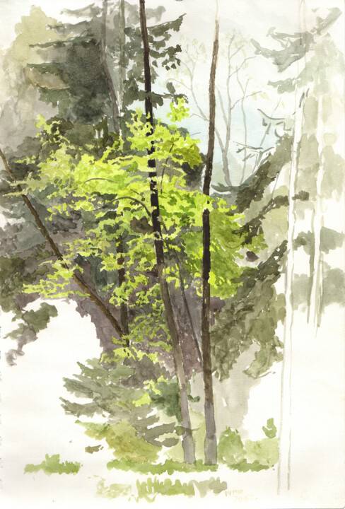 Картина под названием "Черемуха весной" - Игорь Машин, Подлинное произведение искусства, Акварель