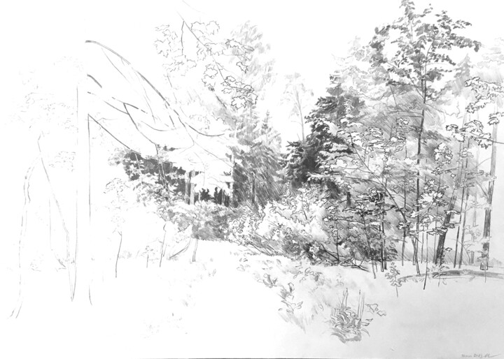 Рисунок под названием "Лесная тропа" - Игорь Машин, Подлинное произведение искусства, Карандаш
