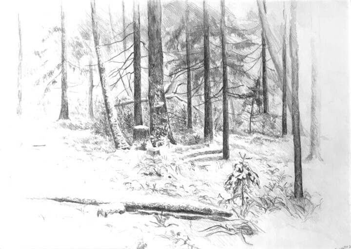 Drawing titled "Зимний лес 2" by Igor Masin, Original Artwork, Pencil