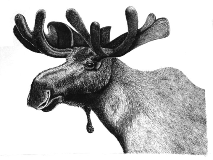 Drawing titled "Moose" by Igzotic, Original Artwork, Ink