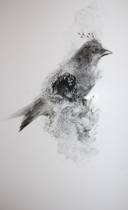 Drawing titled "little bird" by Inna Komarova, Original Artwork, Other