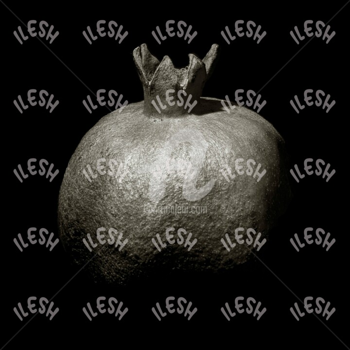 Photography titled "IL MELOGRANO" by Ilesh, Original Artwork, Digital Photography