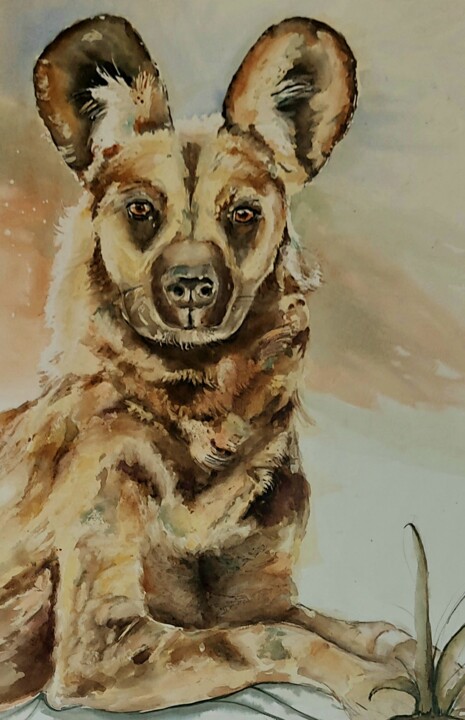 Peinture intitulée "WIlddog" par Ilona Petzer, Œuvre d'art originale, Aquarelle