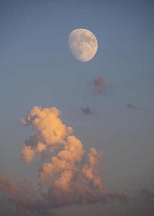 Fotografía titulada "Moon Song #7" por Ilia Mikhei, Obra de arte original, Fotografía digital