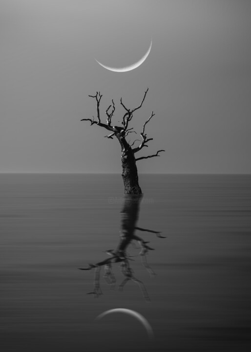 Photographie intitulée "Moon Song #8" par Ilia Mikhei, Œuvre d'art originale, Photographie numérique