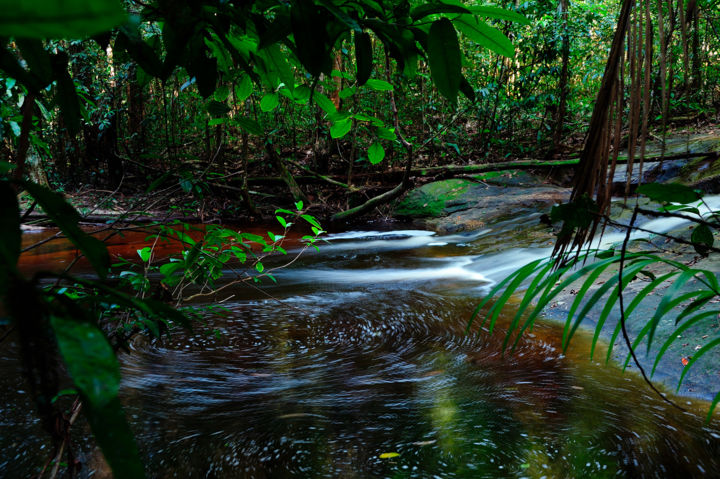 Photography titled "Crique des Cascades" by Bernard Bosc, Original Artwork