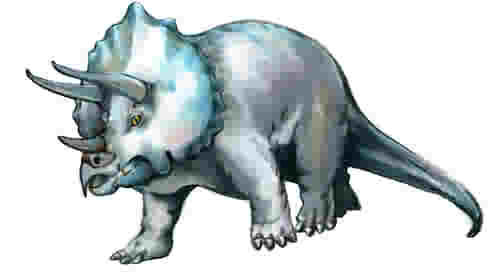 Drawing titled "Triceratops" by Susan Moore, Original Artwork