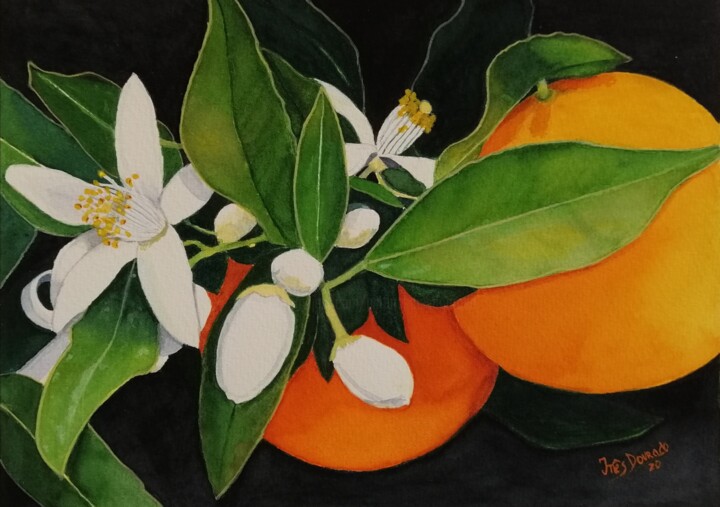 Pintura intitulada "Flor Branca,Fruto L…" por Inês Dourado, Obras de arte originais, Aquarela