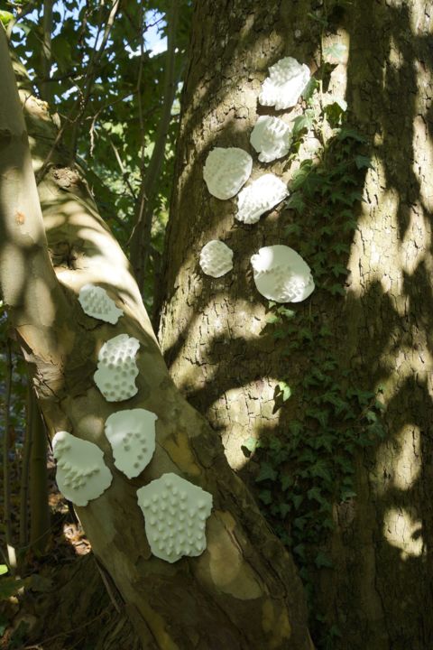 Installation titled "Nature" by Inès Dauxerre, Original Artwork