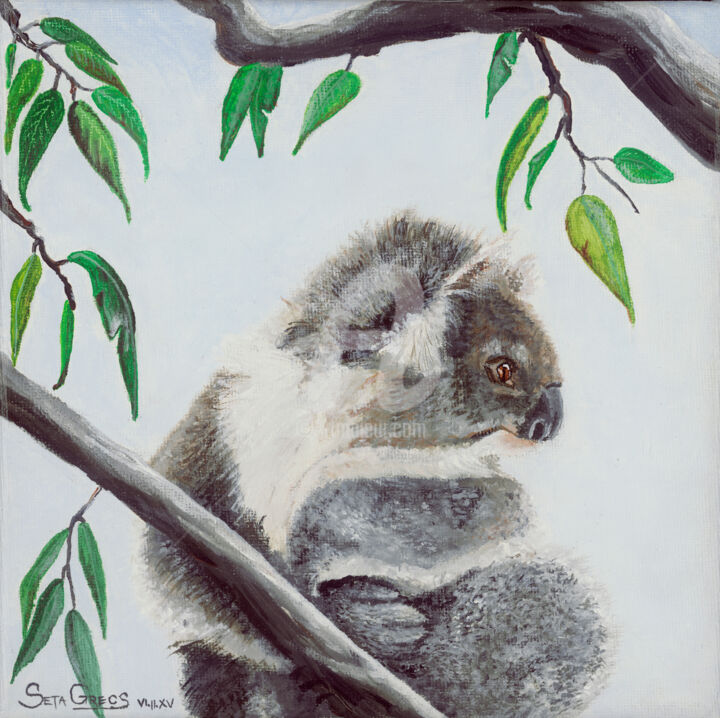 绘画 标题为“Koala” 由Infinity, 原创艺术品, 丙烯